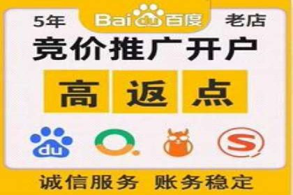 百度推广中的创意策略：成功案例解析与启示